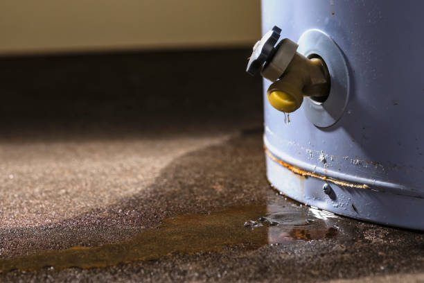 Best Flooded house restoration  in Beech Grove, IN