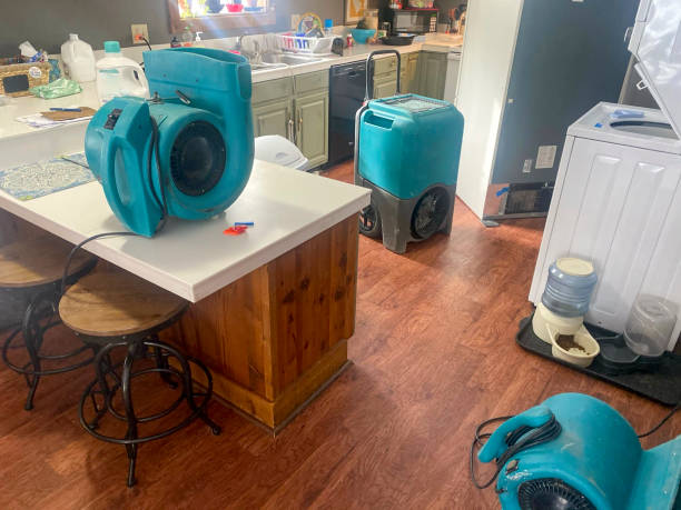 Best Emergency water damage restoration  in Beech Grove, IN