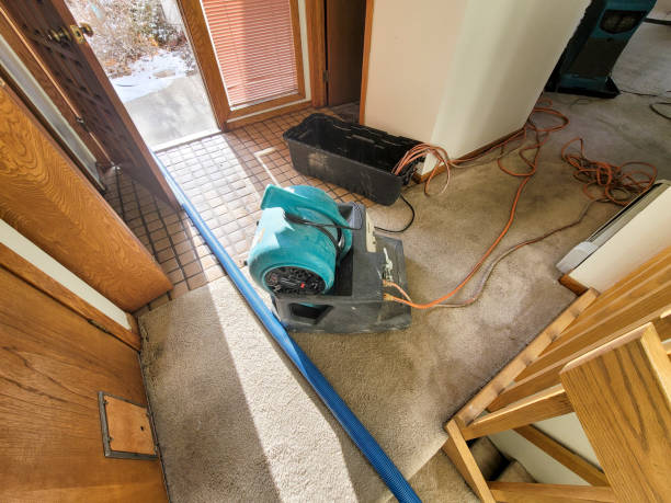 Best Professional water damage repair  in Beech Grove, IN
