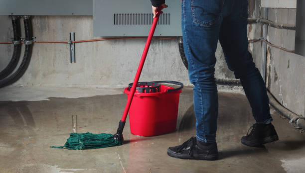 Best Mold removal after water damage  in Beech Grove, IN