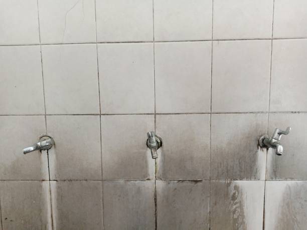 Best 24/7 water damage repair  in Beech Grove, IN