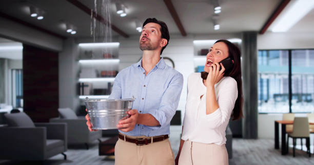 Best Carpet water damage restoration  in Beech Grove, IN