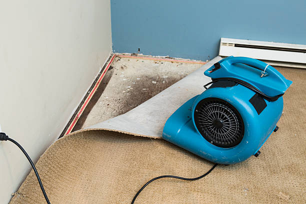 Best Basement water damage restoration  in Beech Grove, IN